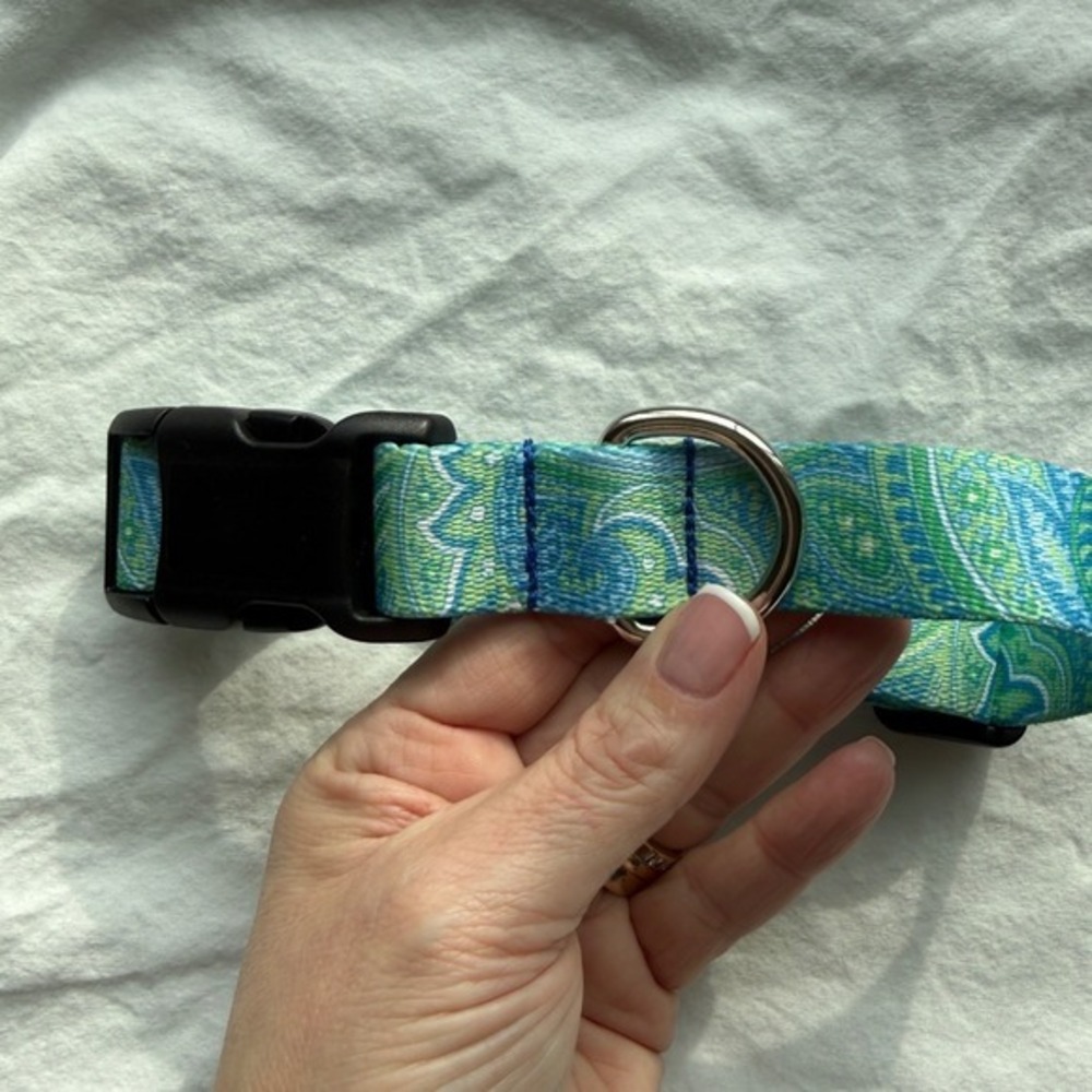 Green‎ and Blue Paisley 1" Wide Dog Collar - Picture 5 of 8